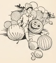 Original spot
illustration from _The Marvelous Land of Oz_. Tip, a young boy in a
hat, jacket, and shorts, is sitting in a pumpkin patch, smiling and holding a
knife.  He has just finished carving the head of Jack Pumpkinhead from
a pumpkin about two feet in diameter.  The carved face has round eyes,
a triangular nose, and a broad, toothless smile.