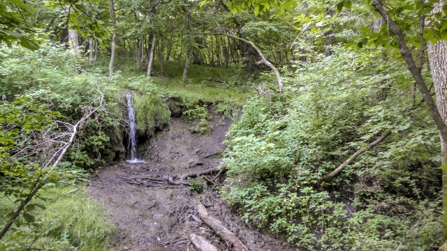 A stream
pours over the lip of a steep hill into a puddle at the bottom of a
muddy depression in an overgrown forest clearing.  There is nothing
for scale so there is no way to guess how far between the top of the
hill and the puddle.