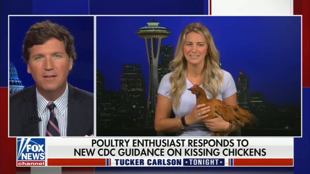 Screencap of Tucker Carlson on Fox New.  On the left, Tucker's talking head.  On the right, a blonde woman holding a chicken.  The caption says “POULTRY ENTHUSIAST RESPONDS TO NEW CSC GUIDANCE ON KISSING CHICKENS”