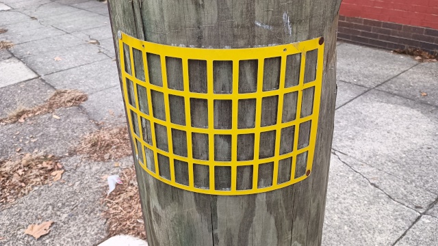 a yellow rectangular grid has been nailed to a wooden utility pole about a
  meter off the ground, curving around the pole.  It has four rows of ten rectangular holes
  punched out of it.