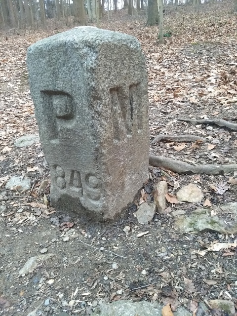 Resting on the floor of a
forest is a block of  gray granite,
around two feet tall and eighteen inches square, with a slightly
pointed top.  The edges might have been sharp once but are now worn
and rounded.  Two  side faces of the block are visible.  On the left
one is cut a large capital P, and on the right, an M.  Under the P is
the date 1849, although part of the 1 has crumbled away.
