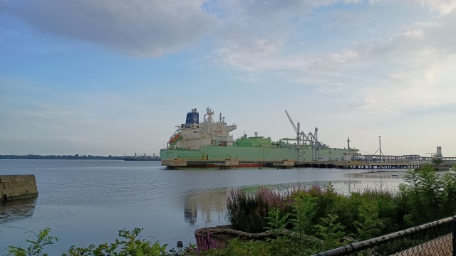 Photo of the Delaware river, taken from the Pennsylvania shore.  The near bank is covered with pretty green and purple weeds.  Floating in the river directly ahead is a pale green ship with a white superstructure, the BW Messina