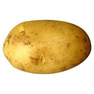 A potato