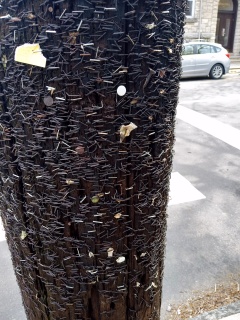 Closeup
of a local wooden utility pole ith a crapload of old staples in it.
