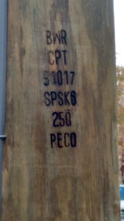 This wooden pole has the following letters burned into it: 'BWR
CPT 51017 SPSK6 250 PECO'