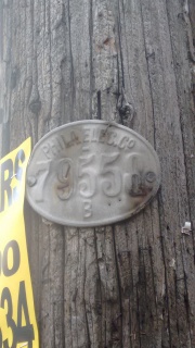 An old, stamped-metal identification plate nailed to a wooden
utility pole.  The plate is elliptical, and says 'PHILA ELEC. Cº 79558 B'